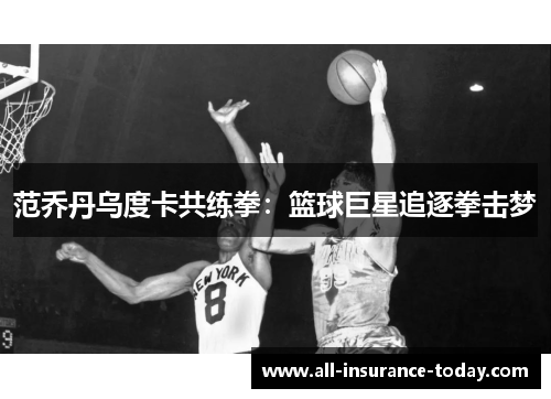 范乔丹乌度卡共练拳：篮球巨星追逐拳击梦